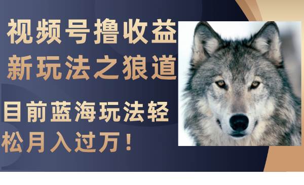 视频号撸收益新玩法之狼道，目前蓝海玩法轻松月入过万！-安哥网络创业副业