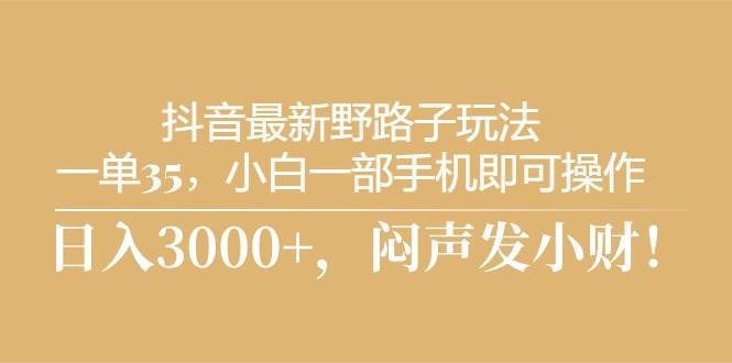 抖音最新野路子玩法，一单35，小白一部手机即可操作，，日入3000+，闷…-安哥网络创业副业