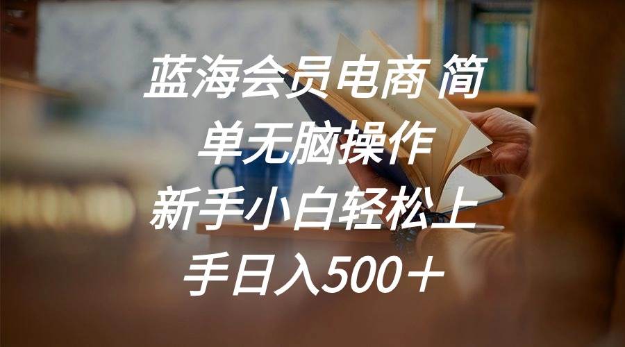 蓝海会员电商 简单无脑操作 新手小白轻松上手日入500＋-安哥网络创业副业