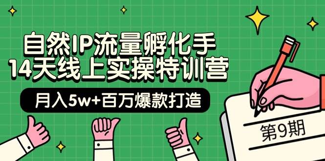 自然IP流量孵化手 14天线上实操特训营【第9期】月入5w+百万爆款打造 (74节)-安哥网络创业副业