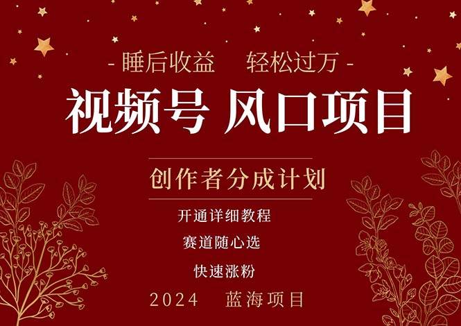 拥有睡眠收益的微信视频号大风口项目，轻松月入过万+，多赛道选择，可…-安哥网络创业副业