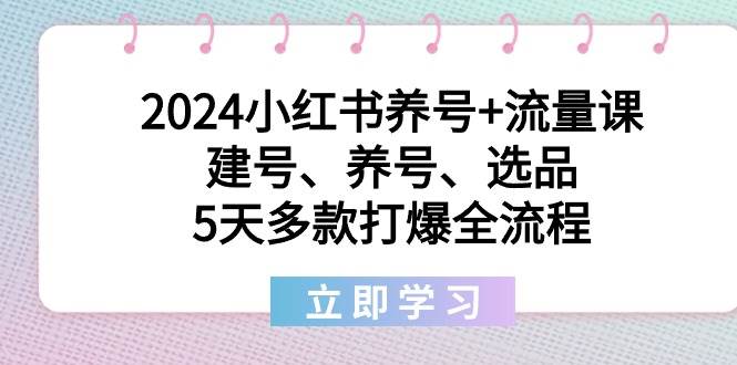 2024小红书养号+流量课：建号、养号、选品，5天多款打爆全流程-安哥网络创业副业