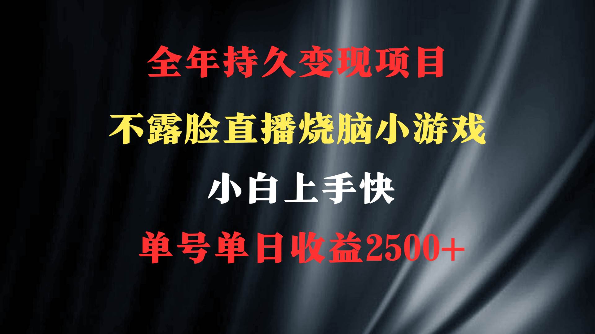 2024年 最优项目，烧脑小游戏不露脸直播  小白上手快 无门槛 一天收益2500+-安哥网络创业副业