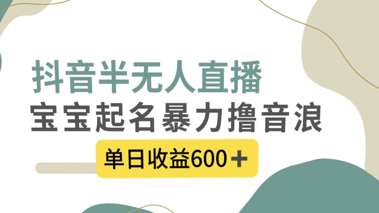 抖音半无人直播，宝宝起名，暴力撸音浪，单日收益600+-安哥网络创业副业