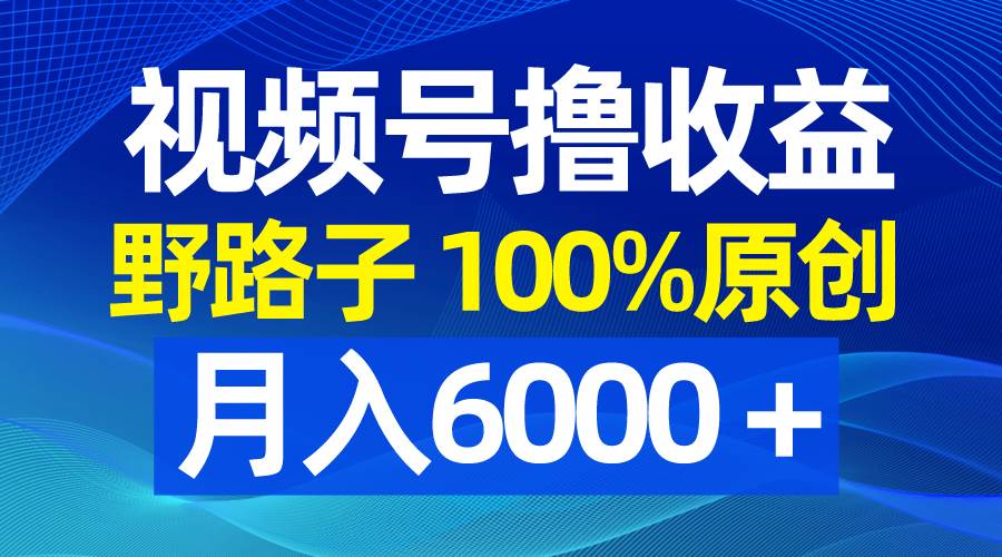 视频号野路子撸收益，100%原创，条条爆款，月入6000＋-安哥网络创业副业