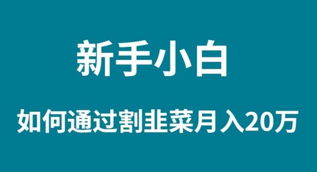 新手小白如何通过割韭菜月入 20W-安哥网络创业副业