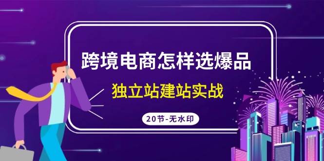 跨境电商怎样选爆品，独立站建站实战（20节高清无水印课）-安哥网络创业副业