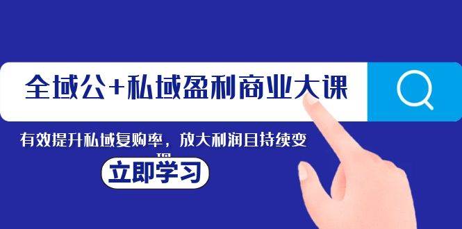 全域公+私域盈利商业大课，有效提升私域复购率，放大利润且持续变现-安哥网络创业副业