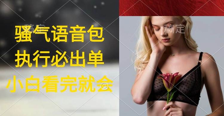 执行就出单，日入2000+，超火骚气语音包，小白看完课程就能马上实操-安哥网络创业副业