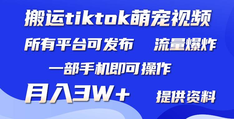 搬运Tiktok萌宠类视频，一部手机即可。所有短视频平台均可操作，月入3W+-安哥网络创业副业