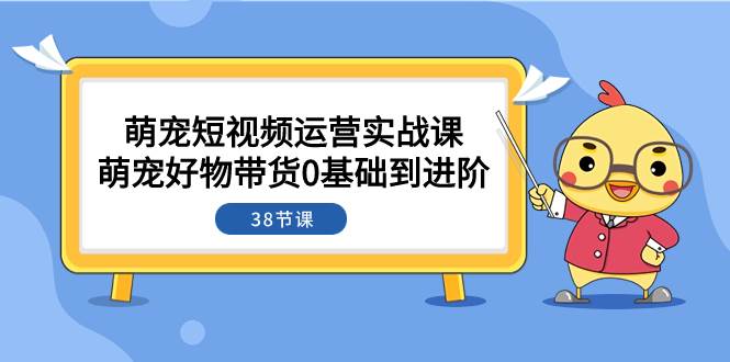 萌宠·短视频运营实战课：萌宠好物带货0基础到进阶（38节课）-安哥网络创业副业