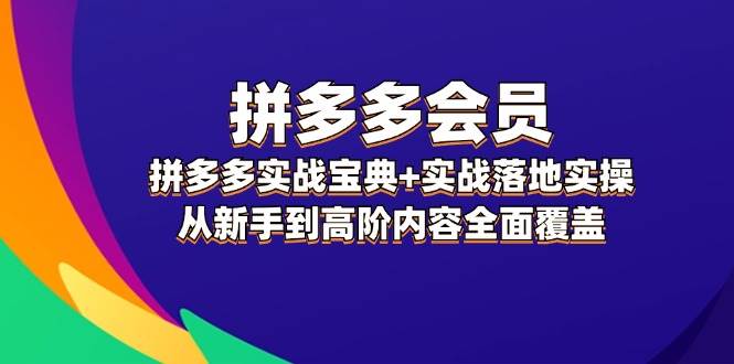 拼多多 会员，拼多多实战宝典+实战落地实操，从新手到高阶内容全面覆盖-安哥网络创业副业