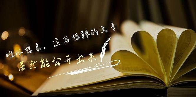 某付费文章《难以 想象，这篇狠辣的文章，居然能公开出来》-安哥网络创业副业