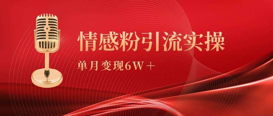 单月变现6w+，情感粉引流变现实操课-安哥网络创业副业