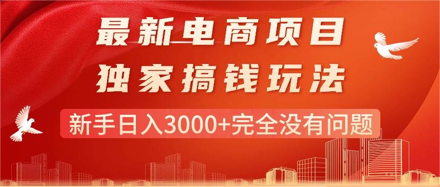 最新电商项目-搞钱玩法，新手日入3000+完全没有问题-安哥网络创业副业