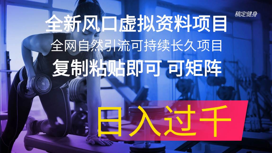 全新风口虚拟资料项目 全网自然引流可持续长久项目 复制粘贴即可可矩阵…-安哥网络创业副业