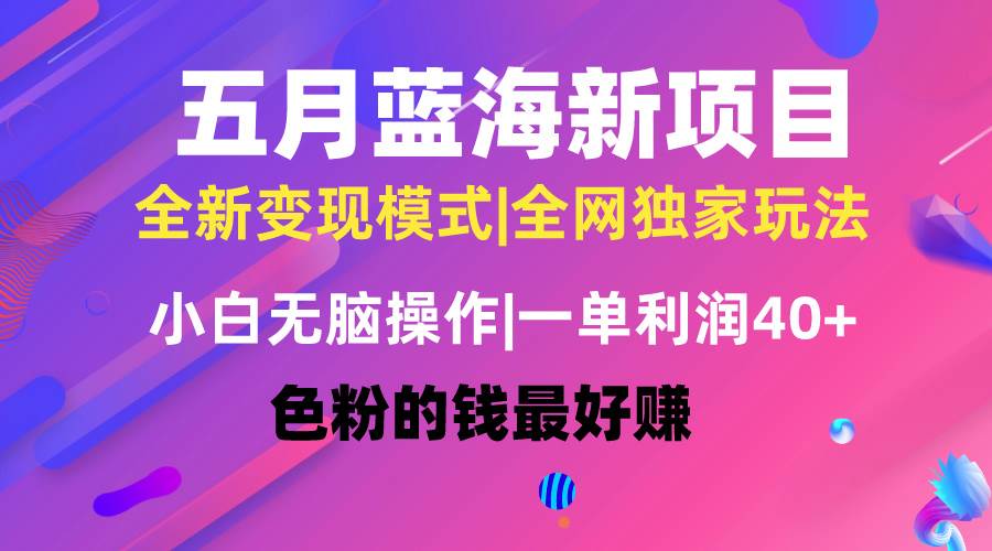 五月蓝海项目全新玩法，小白无脑操作，一天几分钟，矩阵操作，月入4万+-安哥网络创业副业