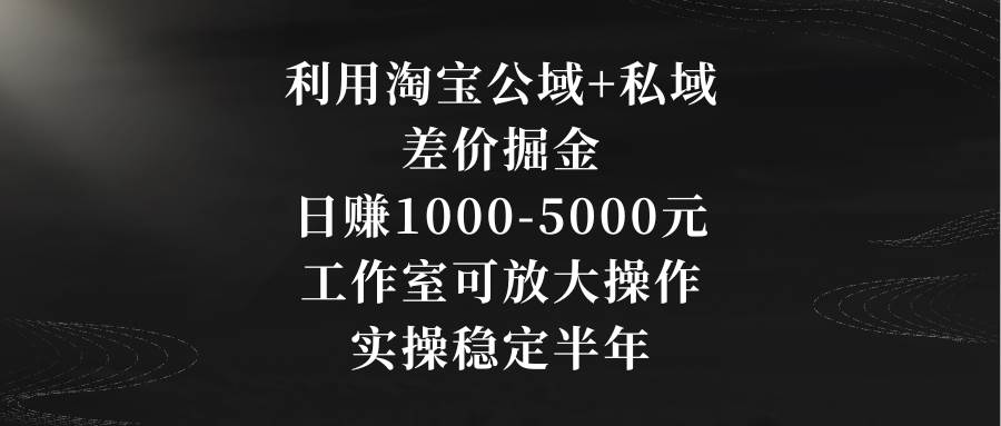 利用淘宝公域+私域差价掘金，日赚1000-5000元，工作室可放大操作，实操…-安哥网络创业副业