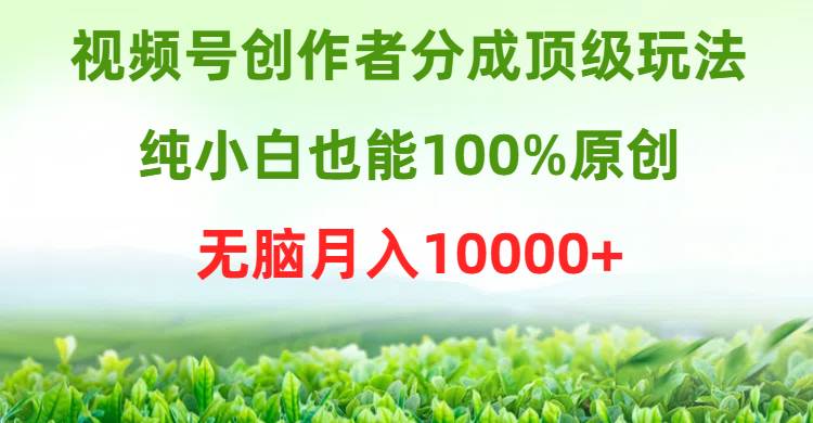 视频号创作者分成顶级玩法，纯小白也能100%原创，无脑月入10000+-安哥网络创业副业