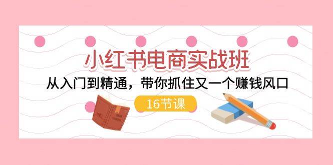 小红书电商实战班，从入门到精通，带你抓住又一个赚钱风口（16节）-安哥网络创业副业