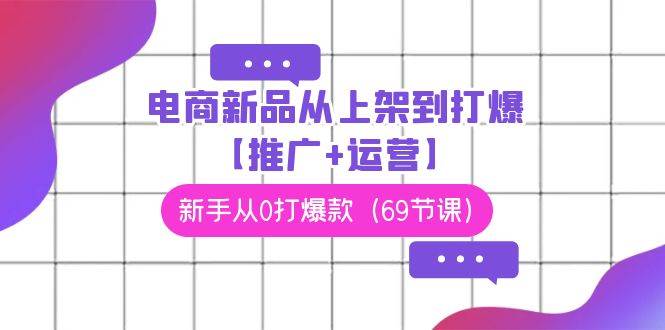 电商 新品从上架到打爆【推广+运营】，新手从0打爆款（69节课）-安哥网络创业副业