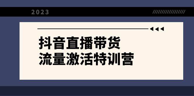 抖音直播带货-流量激活特训营，入行新手小白主播必学（21节课+资料）-安哥网络创业副业