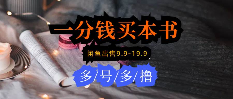 每天花1分钱买一本书，闲鱼出售9.9-19.9不等，多账号多撸 新手小白均可操作-安哥网络创业副业