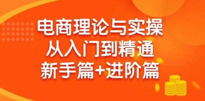 电商理论与实操从入门到精通 新手篇+进阶篇-安哥网络创业副业