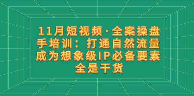 11月短视频·全案操盘手培训：打通自然流量 成为想象级IP必备要素 全是干货-安哥网络创业副业