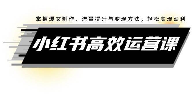 小红书高效运营课：掌握爆文制作、流量提升与变现方法，轻松实现盈利-安哥网络创业副业