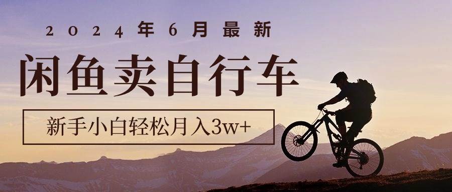 2024年6月最新闲鱼卖自行车，新手小白轻松月入3w+项目-安哥网络创业副业