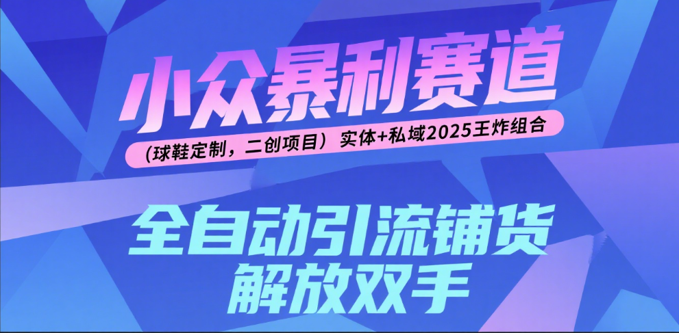 楠—小众暴利赛道（球鞋定制，二创项目）实体+私域2025王炸组合-安哥网络创业副业