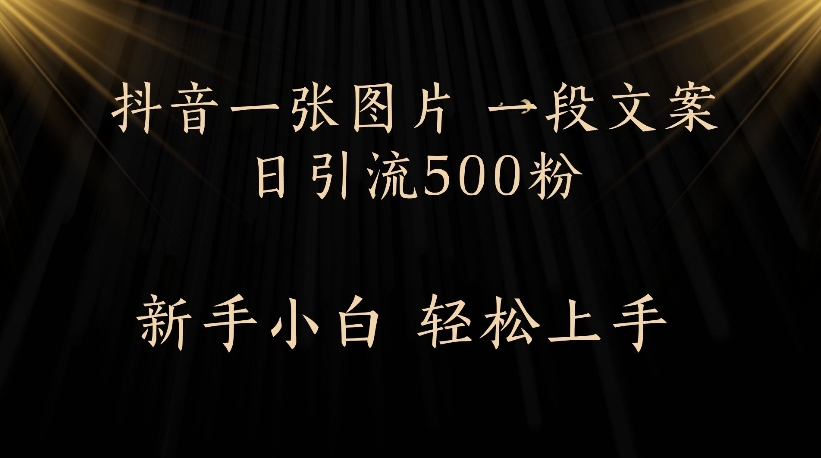 抖音一张图片,一段文案日引流500粉,新手小白 轻松上手-安哥网络创业副业