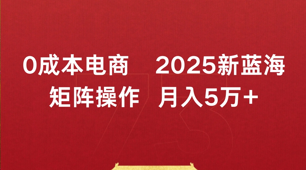 0成本电商2025新蓝海矩阵操作 月入5万+-安哥网络创业副业