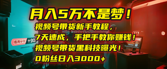 月入5万不是梦！视频号带货新手教程，7天速成，手把手教你赚钱！视频号带货黑科技曝光！0粉丝日入3000+-安哥网络创业副业