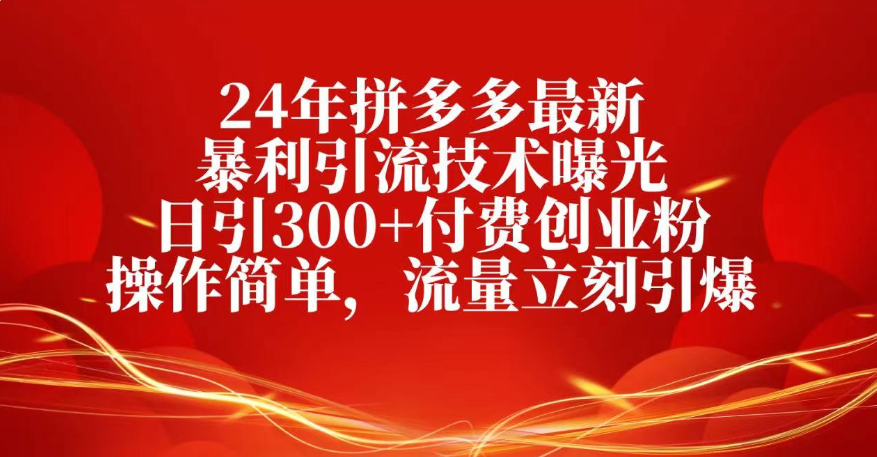 25年拼多多最新暴利引流技术曝光、日引300+付费创业粉操作简单，流量立刻引爆-安哥网络创业副业
